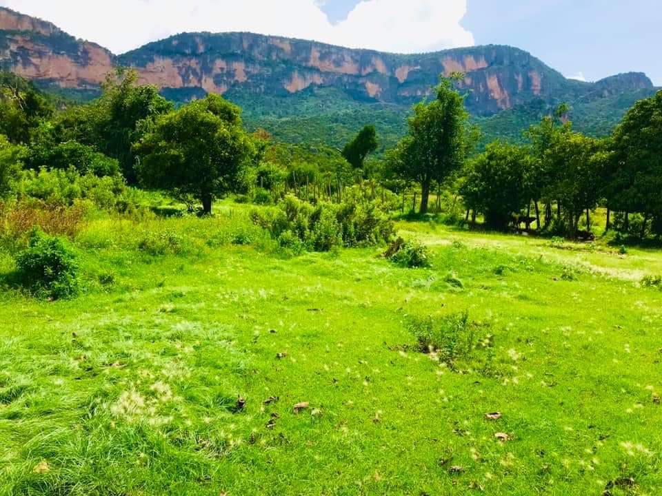Kadarnouh's tweet photo. Views from #Erigavo
#Sanaag region. https://t.co/SE6FGL9Dw0