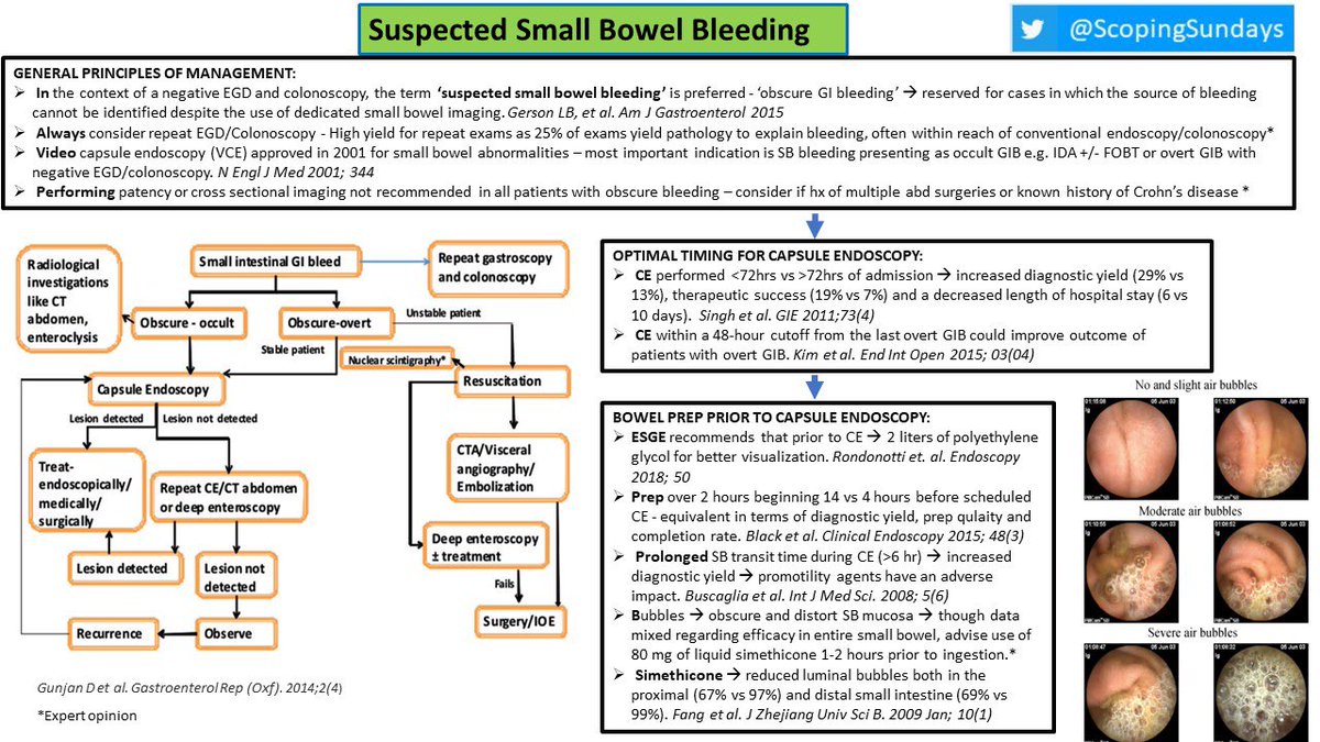 ScopingSundays's tweet photo. Missed the amazing discussion on our previous #ScopingSundays on “Small Bowel Bleeding” lead by @DHassMD, @PerelmansPearls &amp; @annefanliu_md, or not finding the time to go through the thread ?

Check out the #ScopingSummary for high-yield pearls prepared by @NasirSaleemMD https://t.co/FyzmifrU57