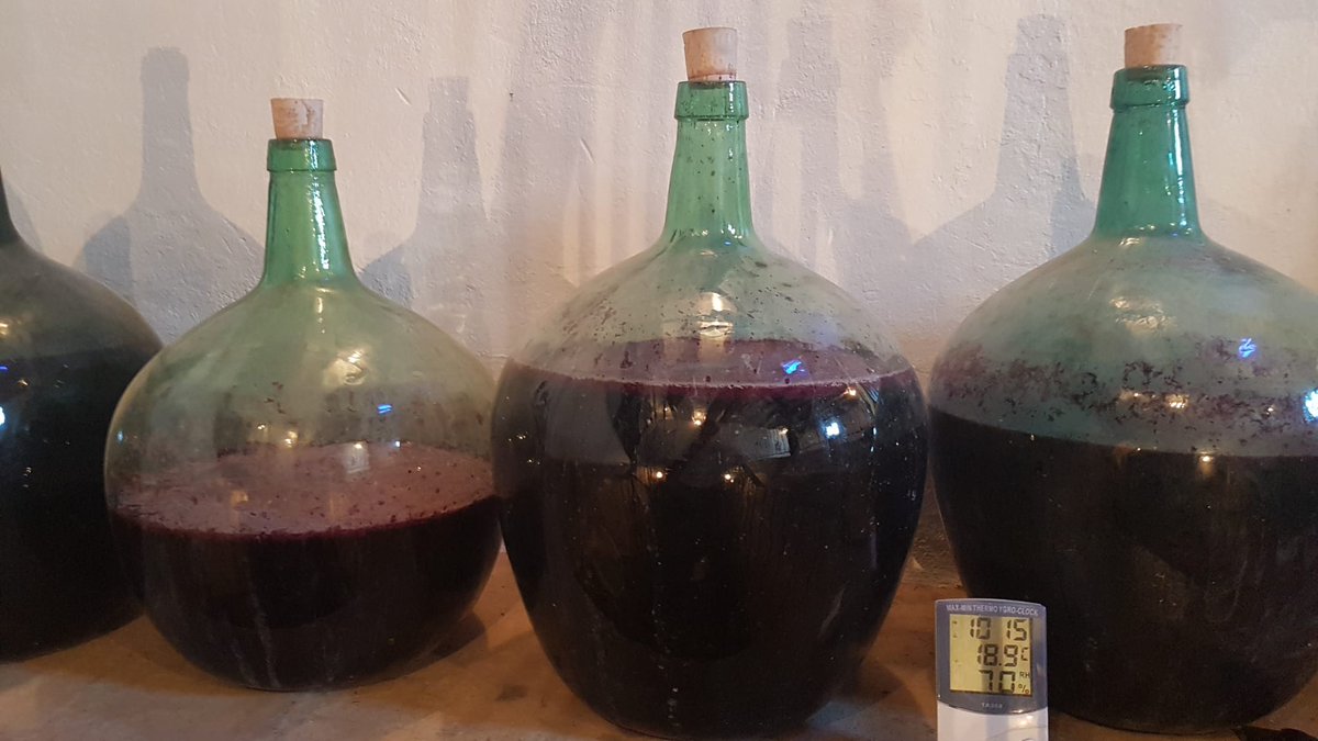 Gobierno de Aragón tweet media