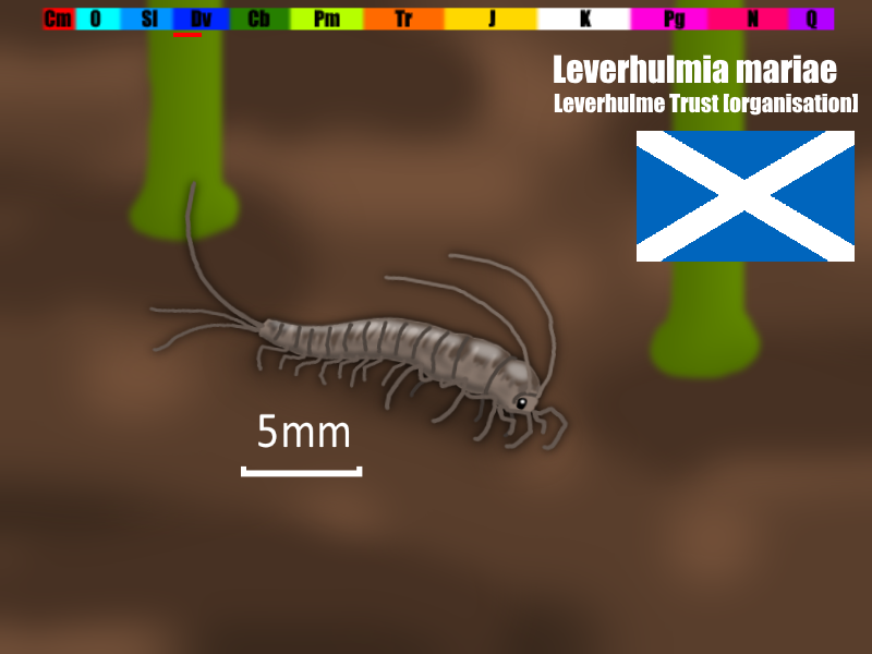 たてぃとぅてと 古生物と虫 今日の絶滅昆虫 ムカデかヤスデか昆虫か リーヴェルフルミア 学名 Leverhulmia Leverhulme Trust 学術機関 分類 節足動物 六脚類 多足類 生息年代 デボン紀前期 発見地 スコットランド 発見部位の長さ 11mm
