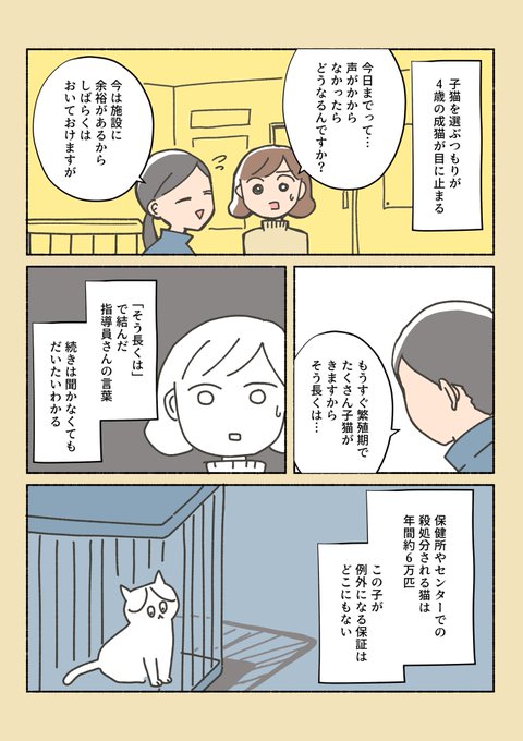 保護猫ちゃんを家に迎えるまでの話⑨

ビビってきちゃったんだ。
しらす、君に決めたっっ!

(1から読んでくれる方、しばらく固定ツイに置いとくので是非見てください) 