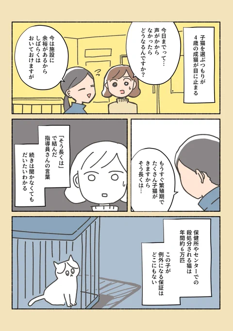 保護猫ちゃんを家に迎えるまでの話⑨ビビってきちゃったんだ。しらす、君に決めたっっ!(1から読んでくれる方、しばらく固定ツイに置いとくので是非見てください) 