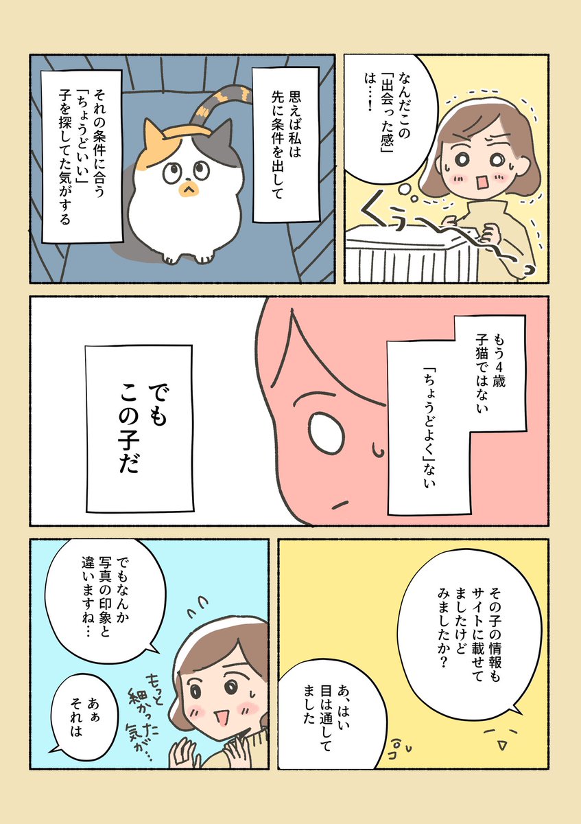 保護猫ちゃんを家に迎えるまでの話⑨

ビビってきちゃったんだ。
しらす、君に決めたっっ!

(1から読んでくれる方、しばらく固定ツイに置いとくので是非見てください) 