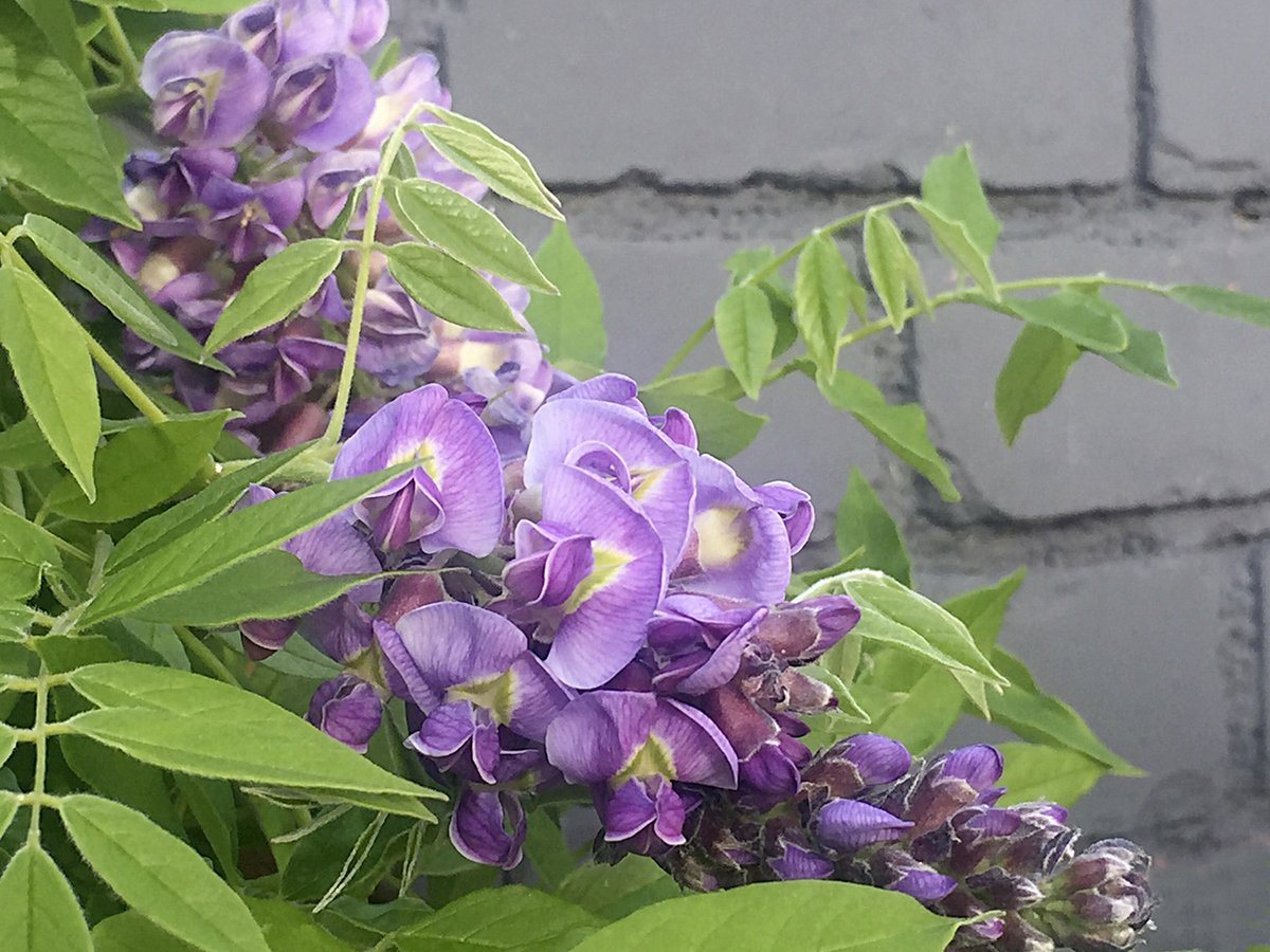 Cetra studio Wirral tweet media