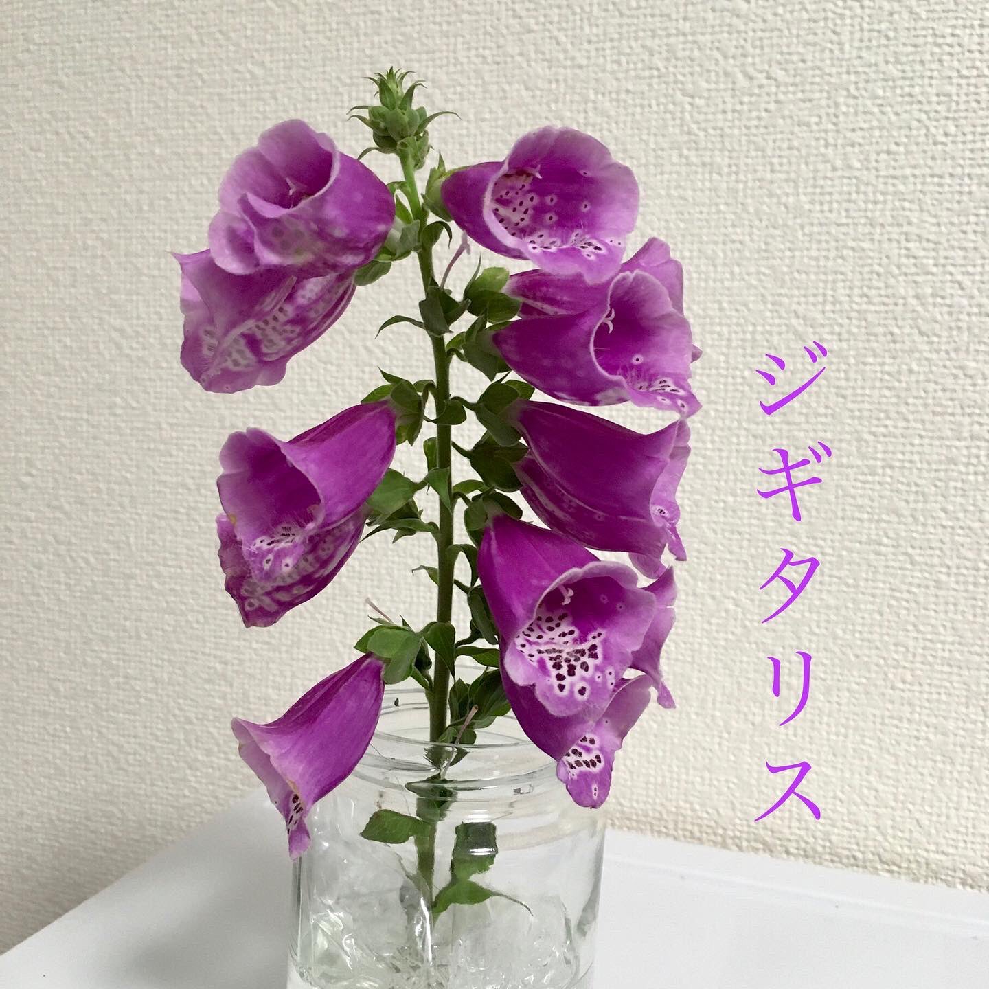 毒性あり Twitter Search Twitter