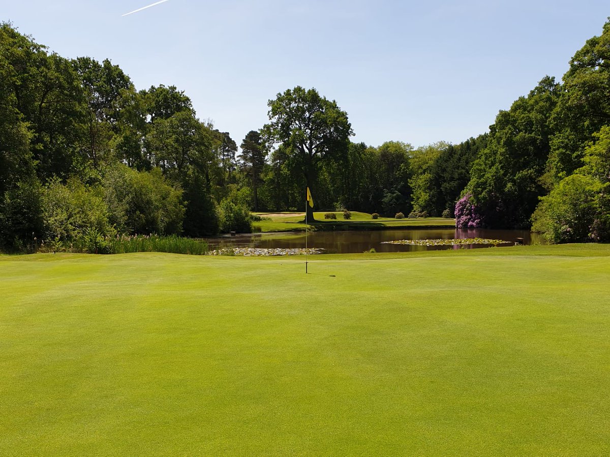 'The Fortnightly' is working perfectly at <a href="/worplesdongolf/">Worplesdon Golf Club</a> 

The tank-mix of Stressbuster, Primo Maxx, Qualibra &amp; Ryder is designed for application every 2 weeks during the summer. It maintains excellent turf colour &amp; quality with low nitrogen inputs.

➡️ bit.ly/3dfcoGL