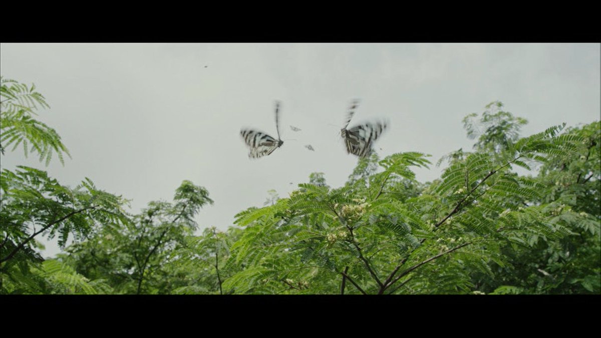 So, the butterflies are back. And this episode is redemption to George, he gets back his tender self. That's balance, and that's maturity. And Should I make an effort to describe Pallavi's screen presence? #5YearsofPremam #SaiPallavi.