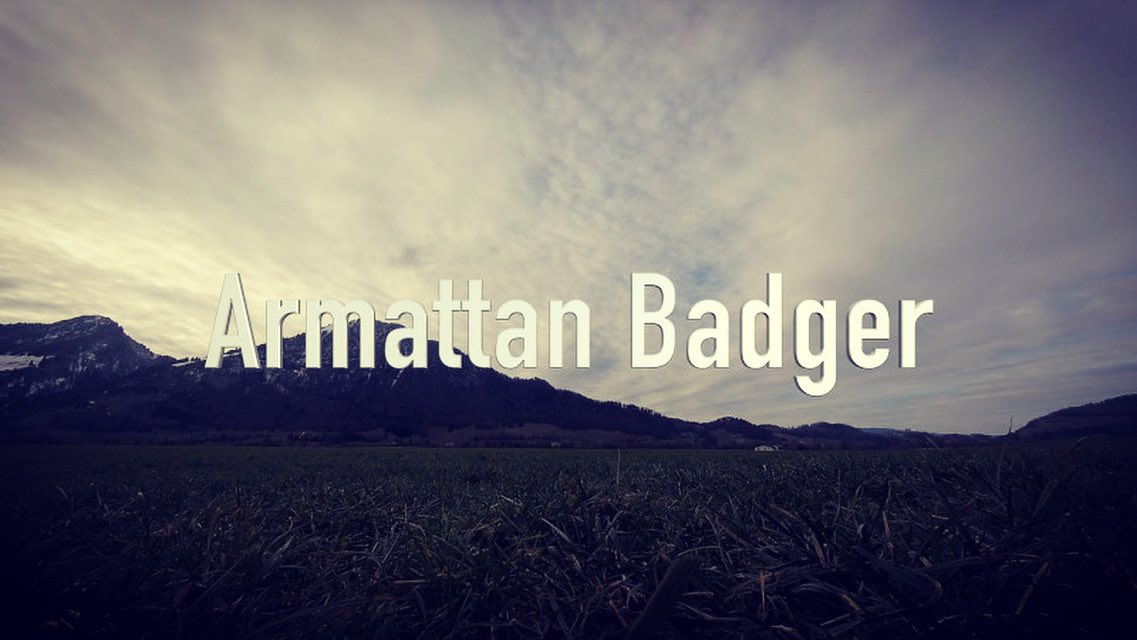 btigerfpv's tweet photo. First flights || Armattan Badger || 6S Setup || Freestyle 
https://t.co/koVrfIPbbd https://t.co/B0ESPeNek7