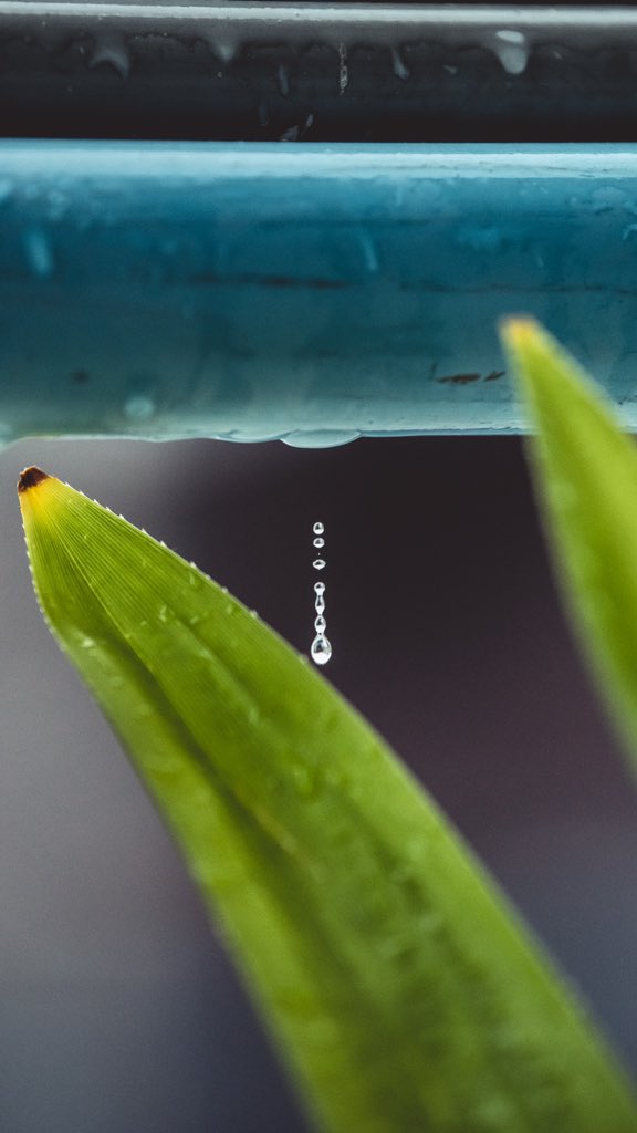 shaffuscanvas's tweet photo. Took my camera out after a while. Pretty happy with today’s shots! https://t.co/8gJ4ZuatH3