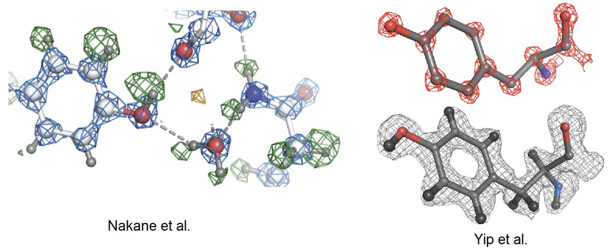Carter Lab (@carter_lab) on Twitter photo Inspiring papers from the Scheres and Stark labs showing the amazing potential of cryo-EM. At 1.2 A resolution, even densities for hydrogen atoms are visible! Congrats to <a href="/SjorsScheres/">Sjors Scheres</a>, <a href="/RaduAricescu/">Radu Aricescu</a> and Holger Stark. #journalclub
doi.org/10.1101/2020.0…
doi.org/10.1101/2020.0… Inspiring papers from the Scheres and Stark labs showing the amazing potential of cryo-EM. At 1.2 A resolution, even densities for hydrogen atoms are visible! Congrats to <a href="/SjorsScheres/">Sjors Scheres</a>, <a href="/RaduAricescu/">Radu Aricescu</a> and Holger Stark. #journalclub
doi.org/10.1101/2020.0…
doi.org/10.1101/2020.0…
