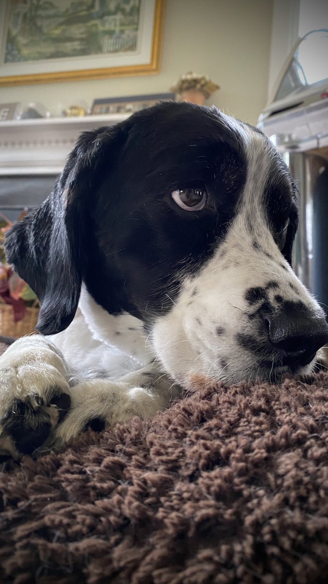 Time for a little Daily Darla. Hope you have a great day. https://t.co/gFbVKG6mLc