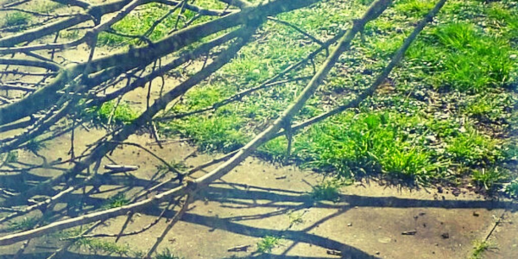 Fly on the Wall Press on Twitter "Thanks so much for the feature!…