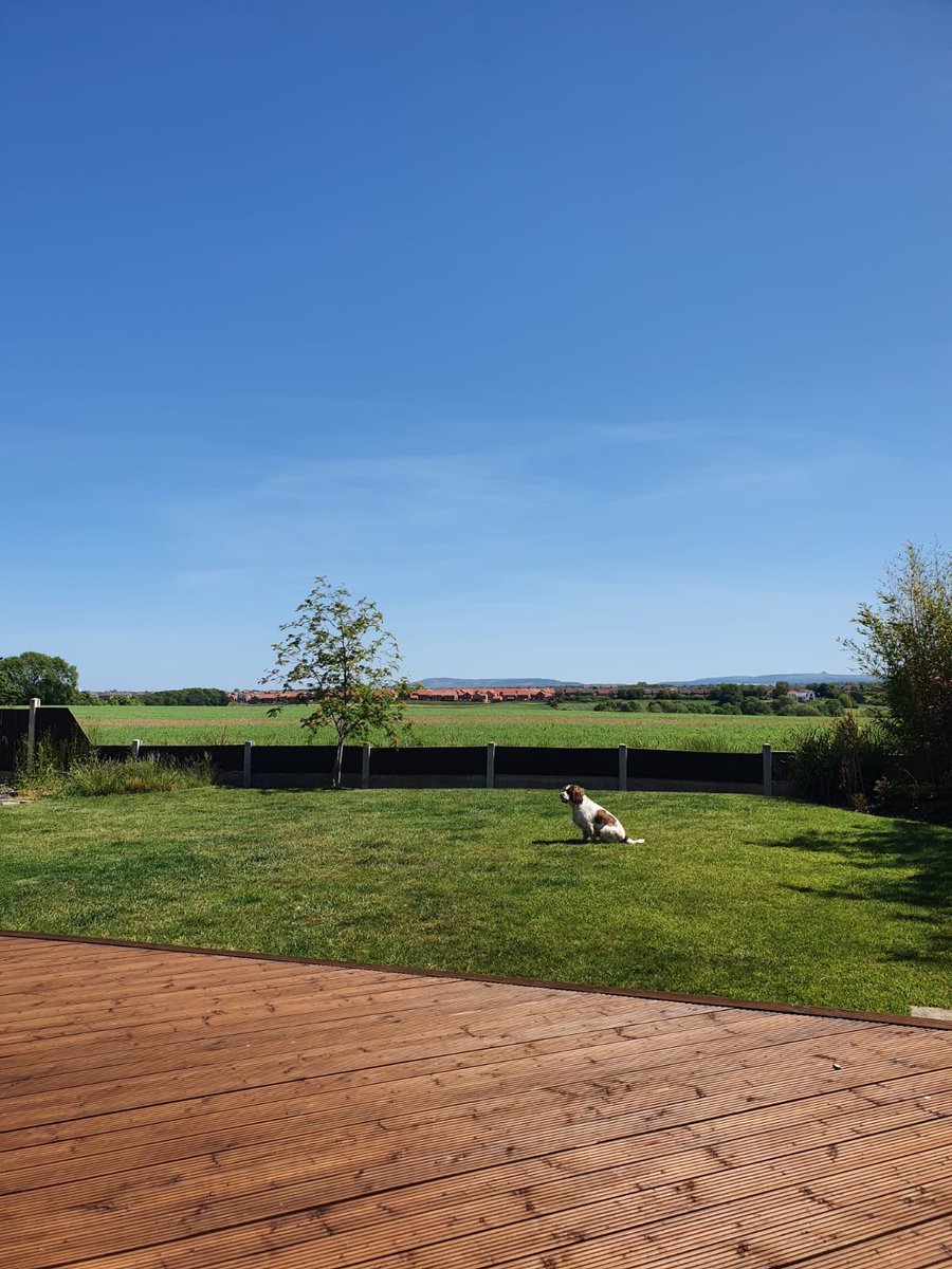 steph_arnettPFP's tweet photo. A gorgeous day in Teesside today☀️ Weather like this makes such an impact on your mental health without realising...hope everyone is staying safe🤗 https://t.co/OSKNHg6EPu