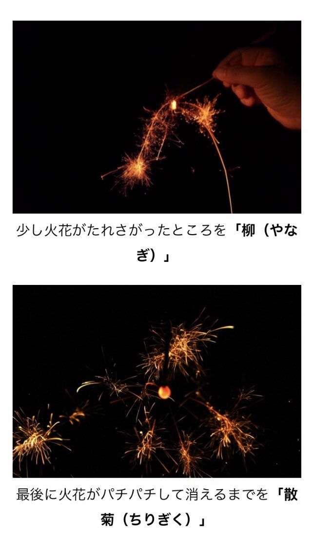 線香花火の火花に名前があった とても綺麗な名前だけど 話題の画像プラス