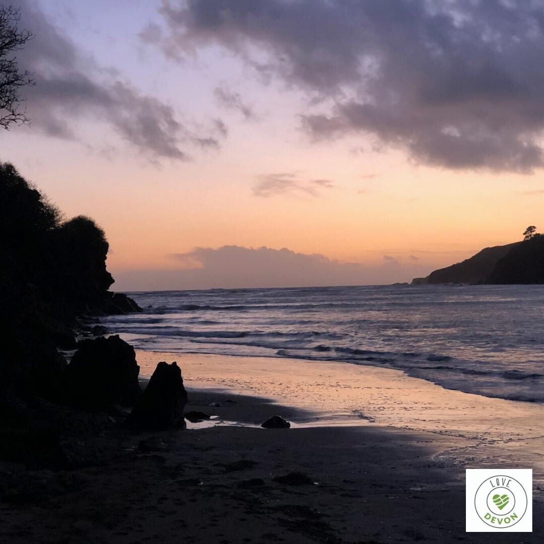 LOVE Devon tweet media