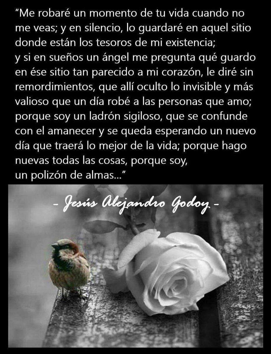 AlejandroJGodoy's tweet photo. #SiSePuede #Argentina #TePerdiCuando #TUmipoema #LetrasyLatidos https://t.co/FpyZMsE9B5
