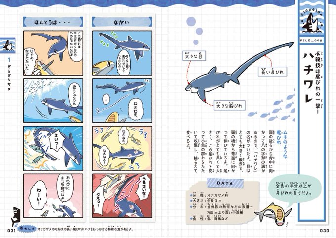 ゆるゆるサメ図鑑のtwitterイラスト検索結果 ゆるゆるサメ図鑑のtwitterイラスト検索結果