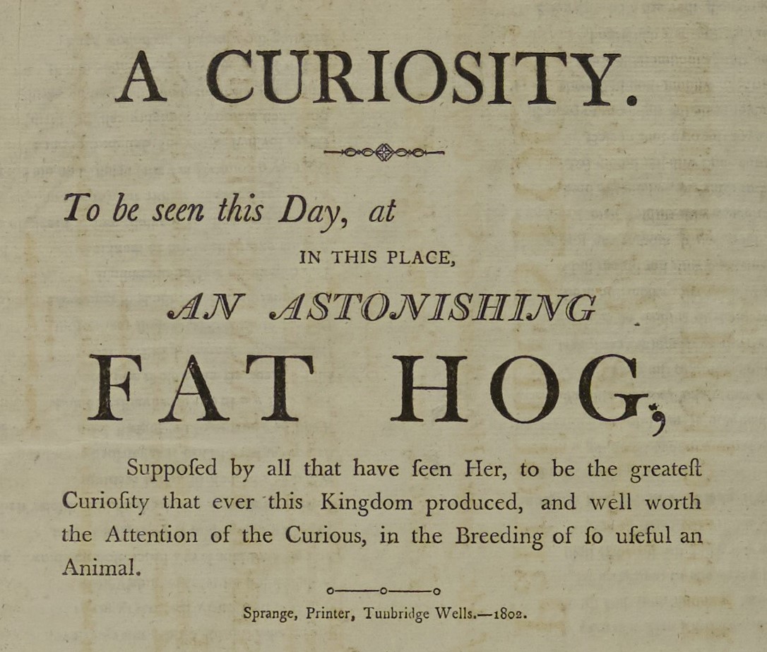 And finally, an astounding curiosity not to be missed!  #fathog