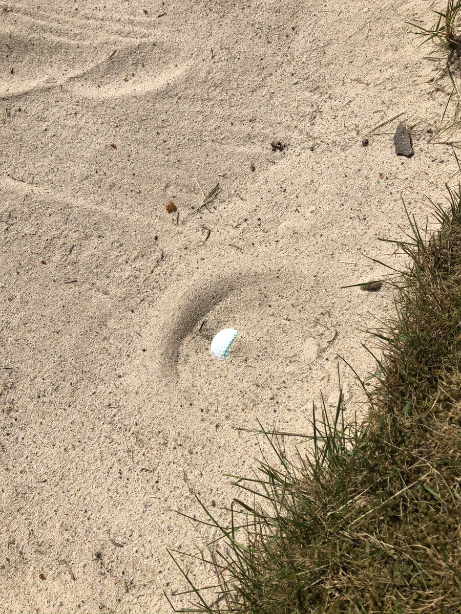 Bru_sterRooster's tweet image. It’s like it’s never been away! Cracking day at @WestLintonGolf with @AndrewM11727221.   Sunshine, birdies &amp;amp; sand.  

Shout out to @stufergusonmg &amp;amp; the boys for the course set up (very friendly) &amp;amp; condition. Golf as it should be played. 

#SameBall #NotSayingGolfIsBack #NewBag 😉