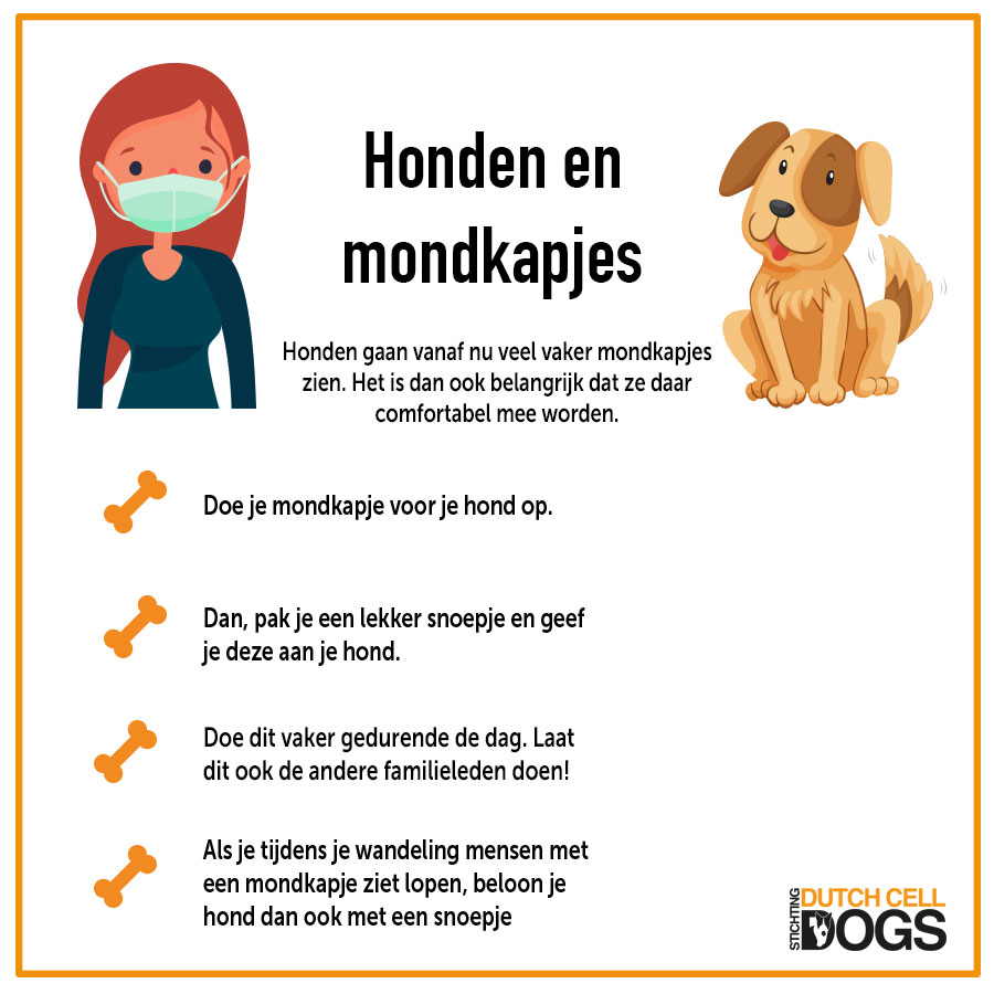 DutchCellDogs's tweet image. Honden gaan vanaf nu veel vaker mondkapjes zien. Het is dan ook belangrijk dat ze daar comfortabel mee worden. Op deze wijze laat jij jouw hond er op een positieve manier wennen aan. Zet 'm op!😷😉

Meer lezen? Ga naar: bit.ly/36NMTtW