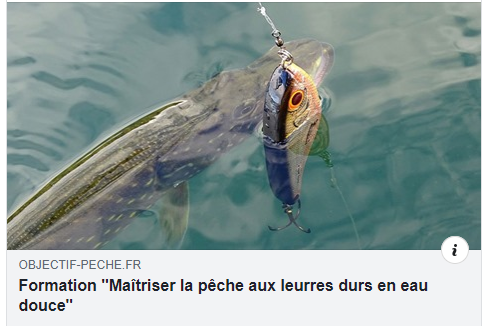 objectifpeche's tweet photo. Bonjour,
💥💥💥 Nouvelle formation en ligne, soyez plus efficace et maîtrisez la pêche aux leurres durs en eau douce avec Antonin votre guide de pêche 🎯
👉👉👉 https://t.co/QFMlnYO43W
#pêcheauleurre #formationpêche #formationenligne #apprendreàmieuxpecher #guidedepeche https://t.co/UmJ03VzKeS