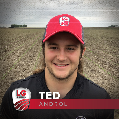LG Seeds tweet media