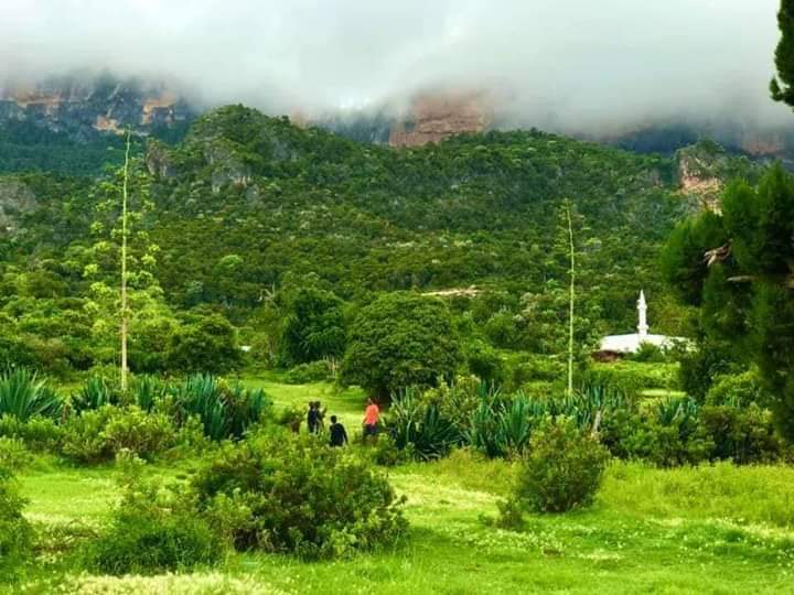 sntvnews1's tweet photo. Muuqaalka wanaagsan ee indhuhu marnaba aaney ka daaleynin eegmadiisa waa Deegaan Dalxiiseedka Degmada Ceerigaabo ee gobolka Sanaag sida,Daalo,Xero mooli ,Malko,Hareed ,Xidh-xidh iyo Gaacidh.

📷➡️Jama Farah⬇️

#Somalia https://t.co/okltGN4HN6