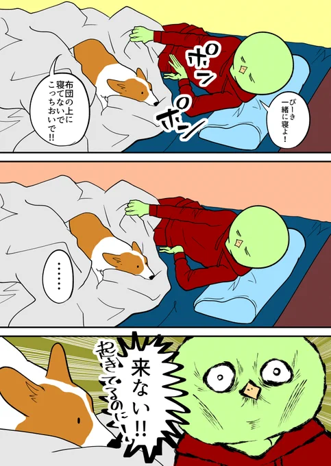コーギーに触れて寝たい 
