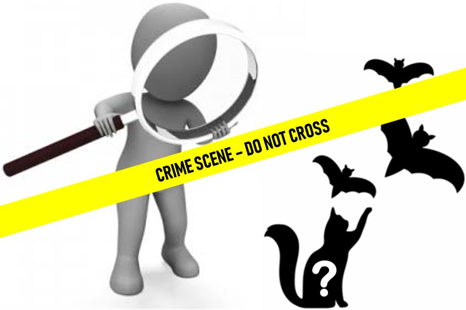 Kirsty (@drkirstyshaw) on Twitter photo 1/5 #WBTC1 #Conserve4 🐱predation upon 🦇species has been reported to have significant effects on 🦇populations in both 🏞️ and 🏙️ areas. Can forensic 🧬 analysis tell us ‘whodunnit’? #BatCATastrophe <a href="/MMUEcolEnv/">Ecology & Environment Research Centre @ManMetUni</a> <a href="/_BCT_/">Bat Conservation Trust</a> @mammal_society @wildwoodtrust 1/5 #WBTC1 #Conserve4 🐱predation upon 🦇species has been reported to have significant effects on 🦇populations in both 🏞️ and 🏙️ areas. Can forensic 🧬 analysis tell us ‘whodunnit’? #BatCATastrophe <a href="/MMUEcolEnv/">Ecology & Environment Research Centre @ManMetUni</a> <a href="/_BCT_/">Bat Conservation Trust</a> @mammal_society @wildwoodtrust