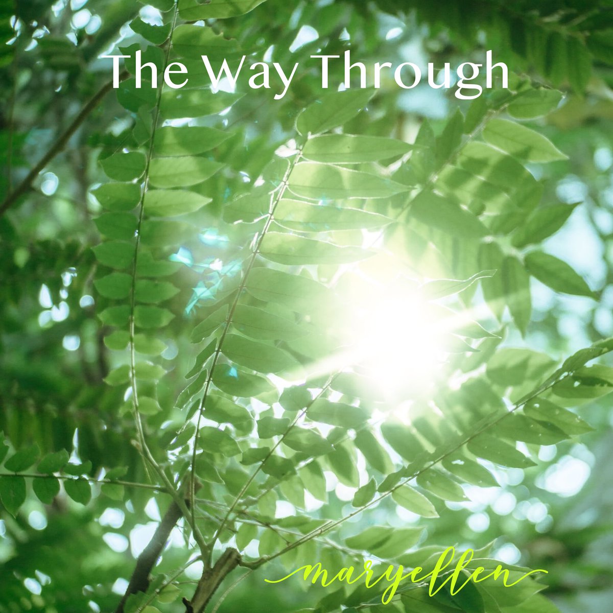 In these turbulent times, love must prevail. We cannot take lives, we must support and advocate for life. Forgive, honor the fallen, respect and love each other. We must rise above the darkness and bring grace and courage. 
#lovelife #vibrancy #unity #hope #enduringpeace