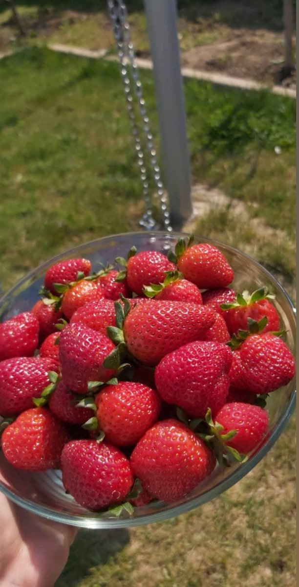 #algılarainatçileğinyanındayım