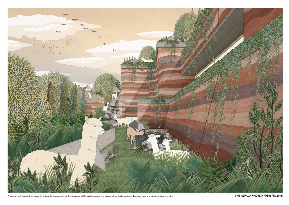 CamdenHighline's tweet image. Yang Tianzhou @vascoytz113 explored the possibility of a wool-producing alpaca oasis inspired by their natural Peruvian habitat on Machu Picchu.

#bartlettschoolofarchitecture