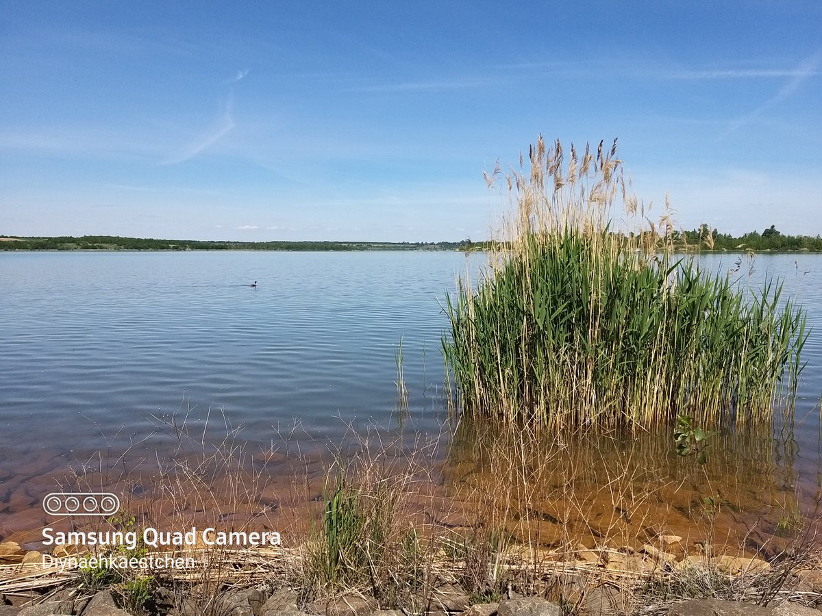 loebtau's tweet photo. Ich wünsche allen einen schönen Feierabend. ☺🌞🌞
#photography #nature #fotografie #Travel #water #natura #FOTOS #naturalbeauty #wochenende #beautifulevening #ciao #Hola #Hej #Bonjour #Merhaba #Bok #Alo #hello #Saluton #mai #reiselust #Xin_chào #Dia_duit #yogafürdieseele https://t.co/iT2mTXEPzx