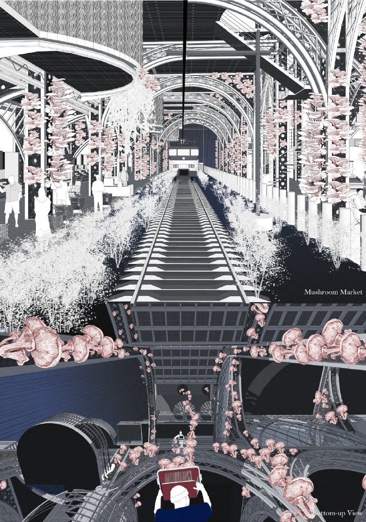 CamdenHighline's tweet image. Shuwei Du @dushewei proposes a mushroom farm that would allow the community to harvest oyster mushrooms in a forest-like structure above the roofs of the city🍄

#bartlettschoolofarchitecture