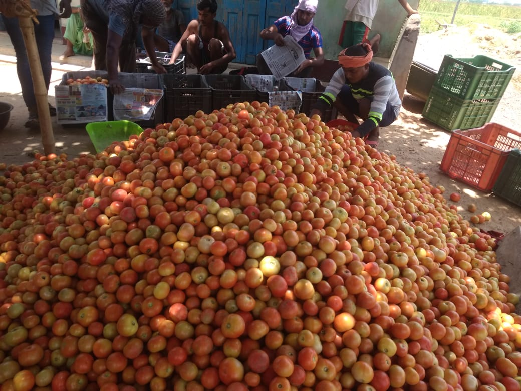 amitkburman80's tweet image. #lockdownsale 1300 MT-122 Lakhs-59 Days #learning4FPOs  #learning3: few pro-market farmers can become torch-bearers for many. Use them wisely. #Bettercultureinagriculture #WomenEntrepreneurs @PritiKumar67 @abhishekga @MitraPradan @Nagendra_NSinha @cinicell