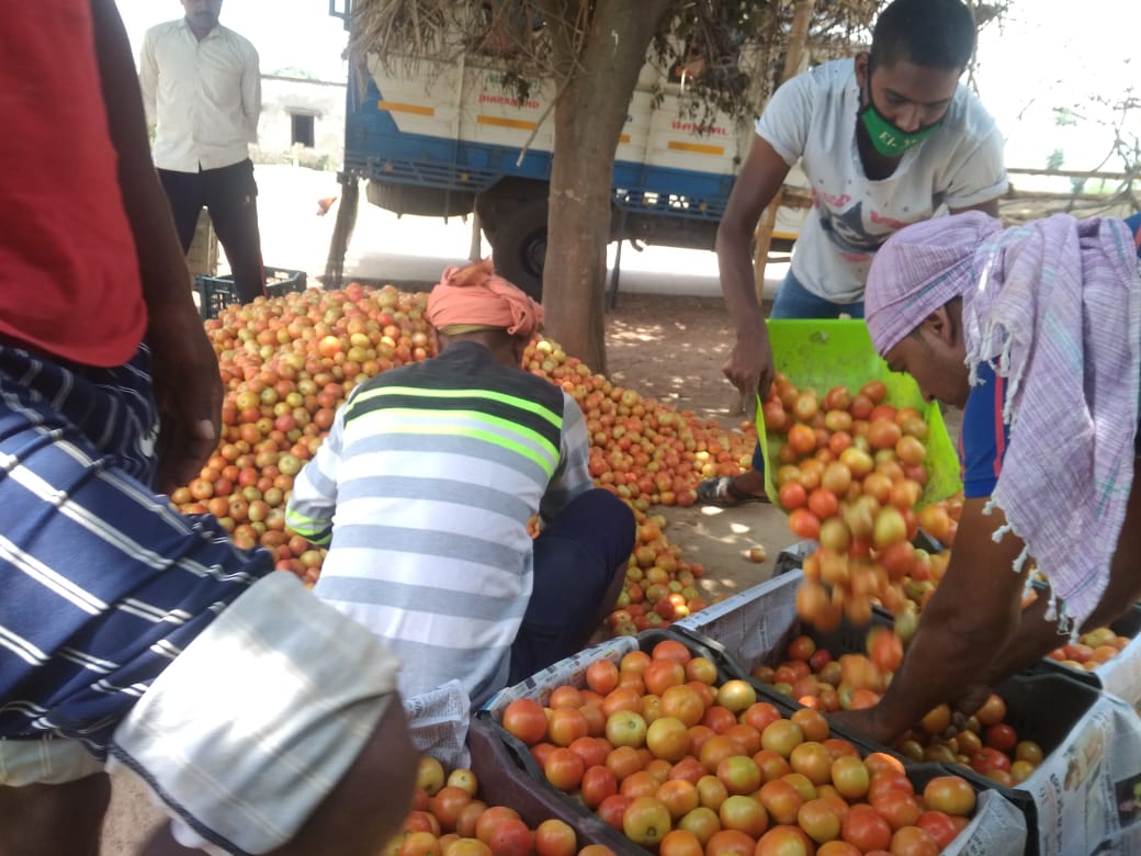 amitkburman80's tweet image. #lockdownsale 1300 MT-122 Lakhs-59 Days #learning4FPOs  #learning3: few pro-market farmers can become torch-bearers for many. Use them wisely. #Bettercultureinagriculture #WomenEntrepreneurs @PritiKumar67 @abhishekga @MitraPradan @Nagendra_NSinha @cinicell