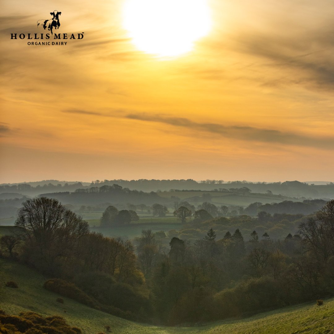 Sharing our beautiful view with you and wishing you well today. Have you visited one of our vending machines this week? You can find our locations here: soo.nr/ji5T #dorsetfarm #dairyfarm #vista #beautifulview #countryliving #countrylife