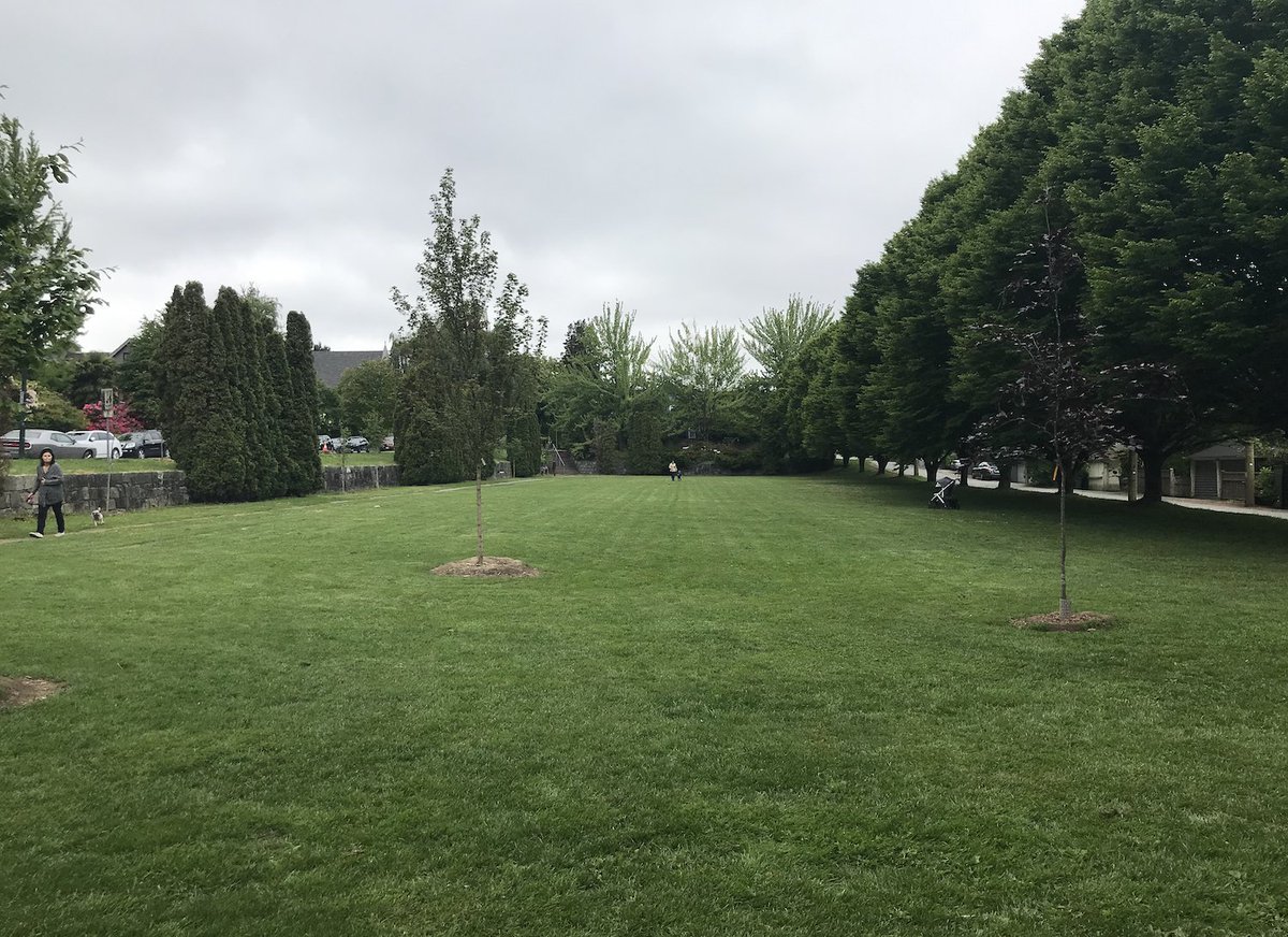7. GRANVILLE PARK- The eastern half is a big flat mediocre field for dogs and not much else, unless you like lawn bowling- The western half has an interesting narrow field with fun framing on the sides- That brings up the ranking, but it's still very meh