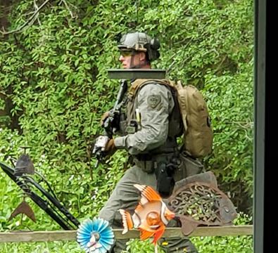 Simcoe.com tweet media