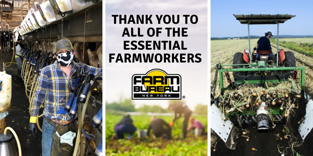 #Farmworkers are on the frontlines helping to put food on our tables. Today, we want to once again say thank you for all that they do. #ThankAFarmworker #StillFarming