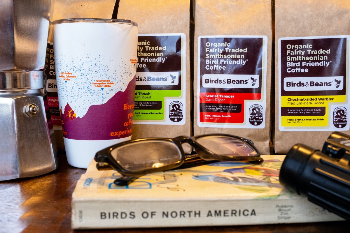 BirdsBeans's tweet photo. Bird watching + Birds &amp; Beans Coffee = the perfect day!
#birdwatching #birdsandbeans https://t.co/obmwql4gMp