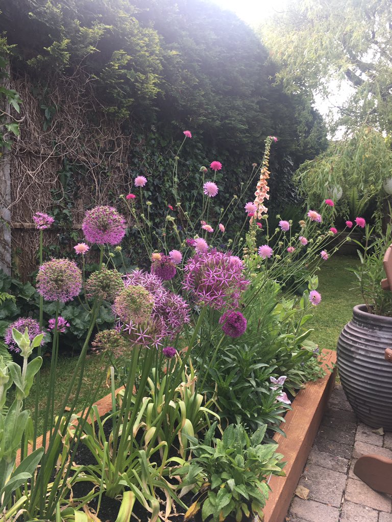 Our bee pollinators in full bloom!