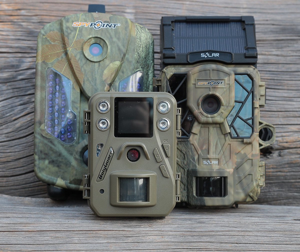 OKO W ŁOWISKU

wildmen.pl/slider/oko-w-l…

W ostatnich latach myśliwi docenili, polubili i coraz częściej używają fotopułapki. Oferta jest bogata, ale nie wszystkie sprawdzają się w łowisku.

#WildMen #Fotopułapka #Polowanie