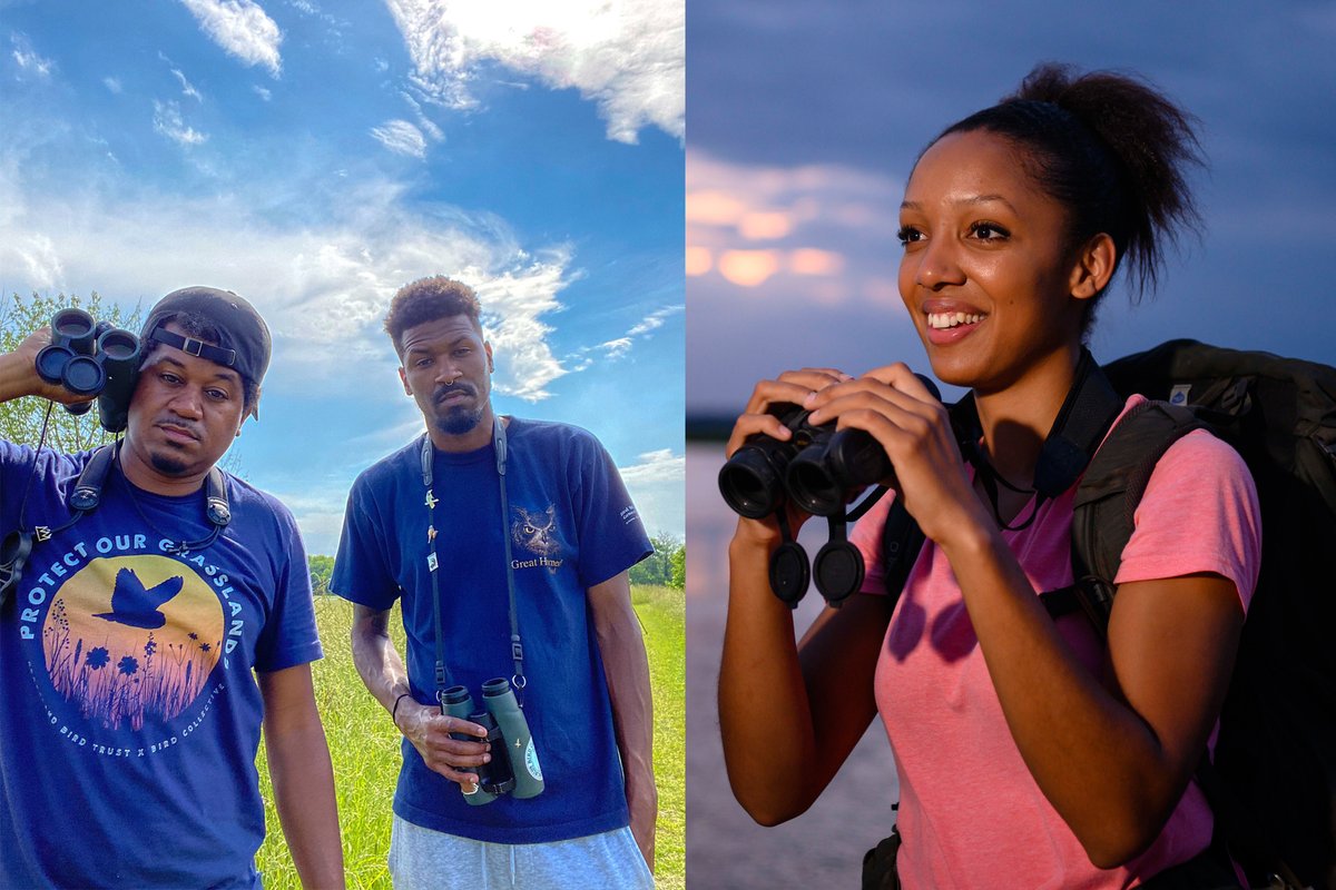 BirdWatchDaily's tweet photo. A group of about 30 African American scientists, birders &amp; others are hosting #BlackBirdersWeek starting on Sunday. The goal: to encourage birding among more people of color. Follow the hashtag &amp; @BlackAFinSTEM here and on Instagram.  https://t.co/JQvPIJ33QI https://t.co/EIQiLjblSN