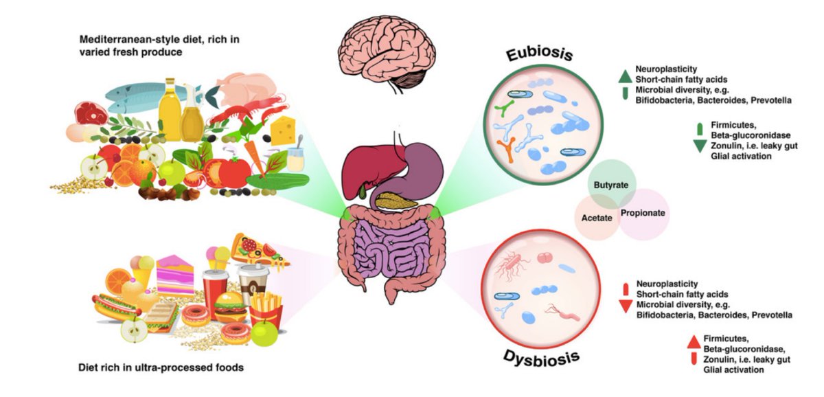 Dysbiosis que es, Riscurile consumului de antibiotice | Familia Ortodoxa Dysbiosis breastfeeding