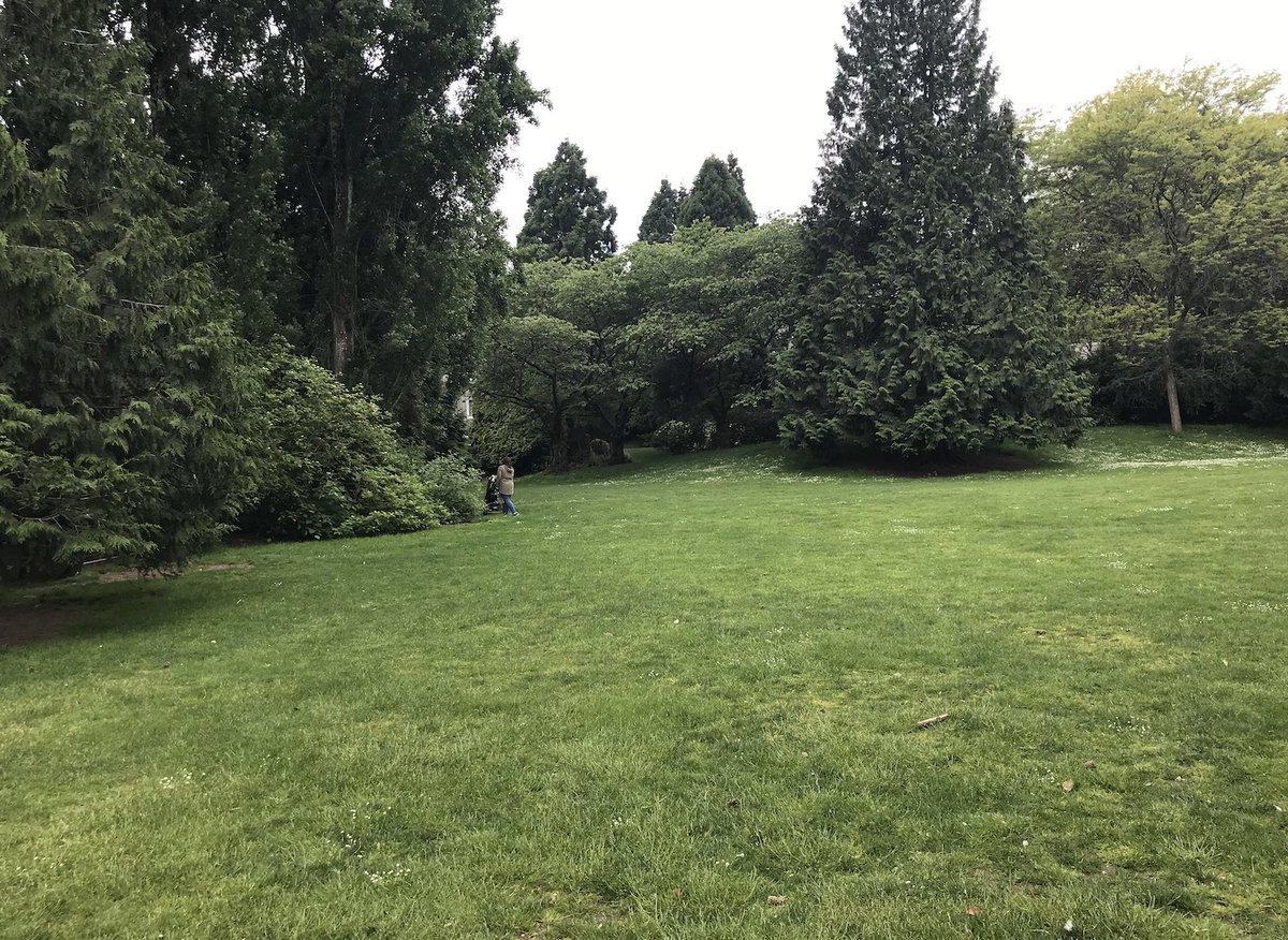 5. SUTCLIFFE PARK- Weirdly disjointed area directly south of Granville Island- Nice views, nice plants, but more a place to walk through than to sit down and enjoy- still confused what that old piece of mining equipment is