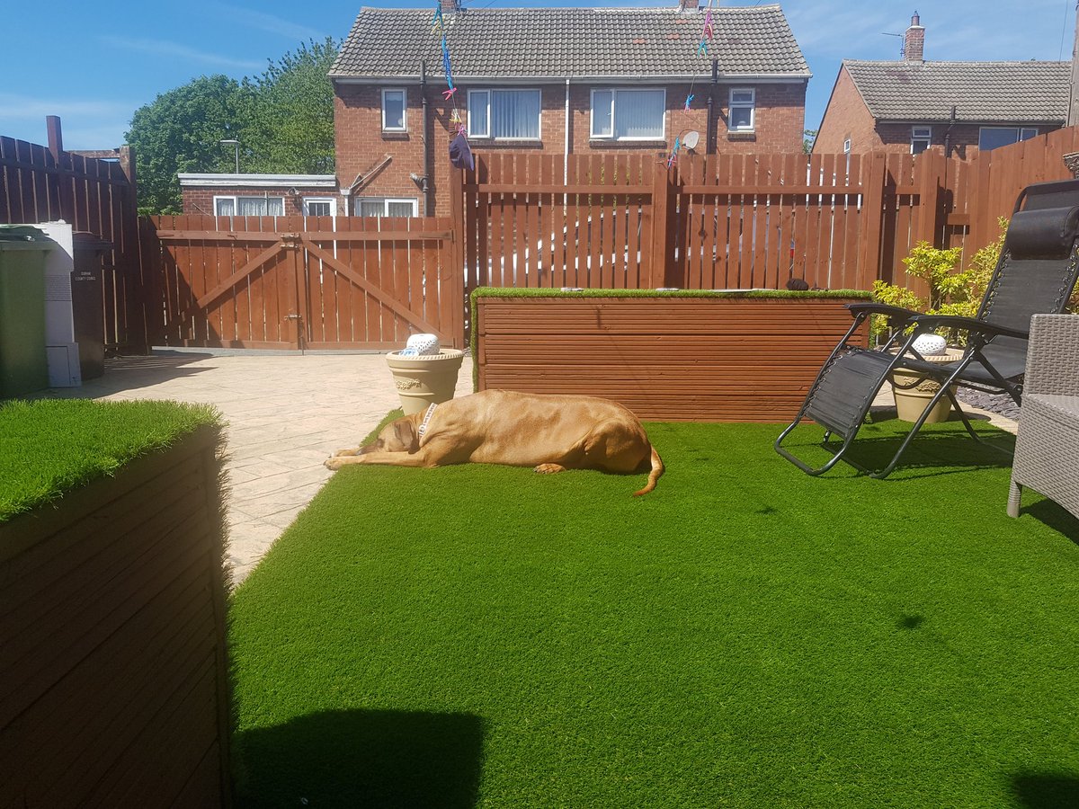 antharnell's tweet photo. @artlowy8 #lockdown
#myviewfromhere
#myview
Sunny Trimdon 🌞🌞🌞🌞🌡🌡 https://t.co/bjiulf05Qj