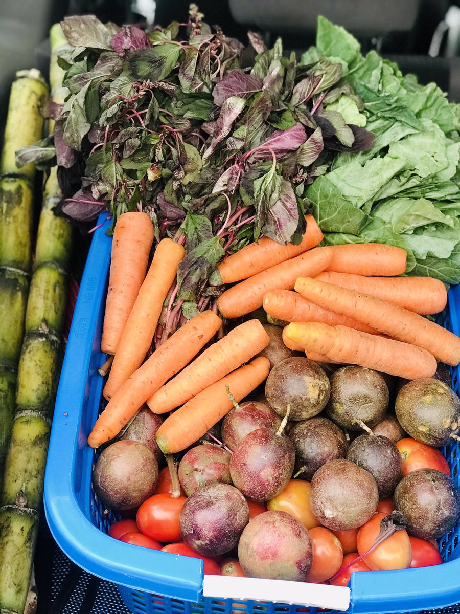 Kiso_fresh's tweet photo. Subscribe to our monthly packages and have your groceries delivered to you weekly fresh from the farm.
Packages are from: 55k/month - 85/month. #OrderKisoFresh and change what & how you eat. #Eatfresh #Eatdifferent. DM now for more info https://t.co/bxcYbsDvGy