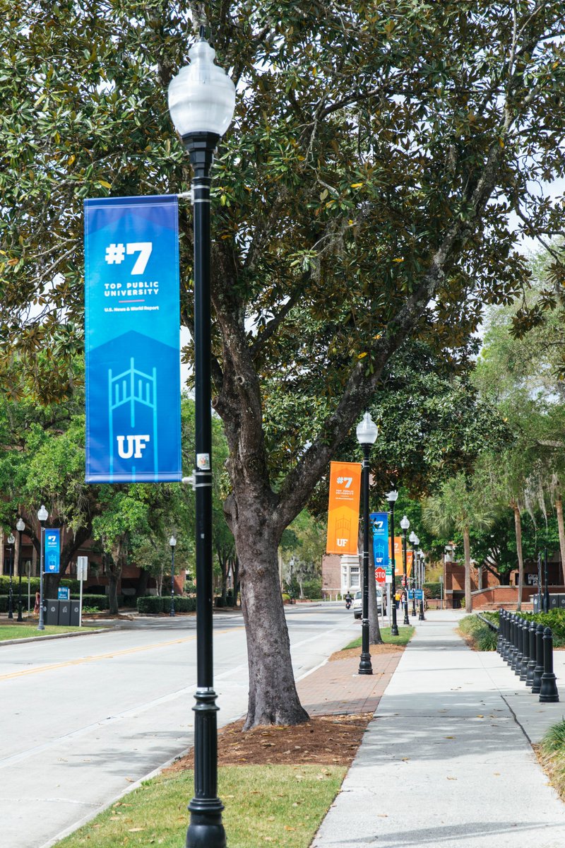 UF's tweet photo. Virtual backgrounds: Summer edition ☀️ https://t.co/IVSaYApKNk