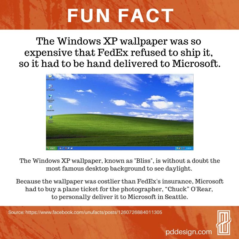 The Story behind the Famous Windows XP Desktop Background